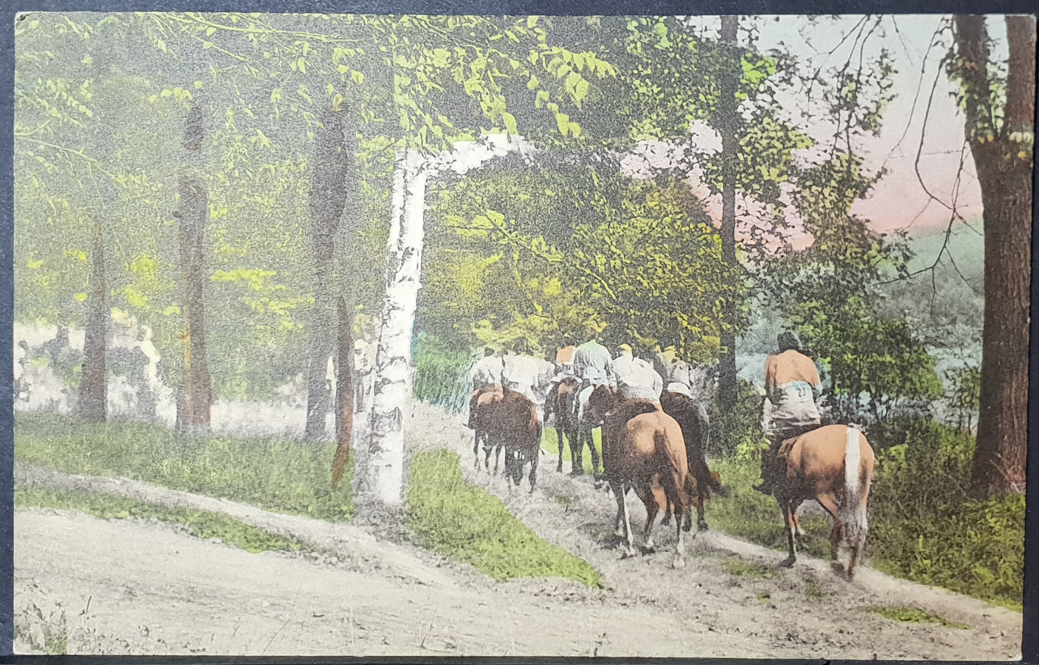 postcard USA - VT - Vermont #0012 (image for) postcard USA - VT - Vermont #0012